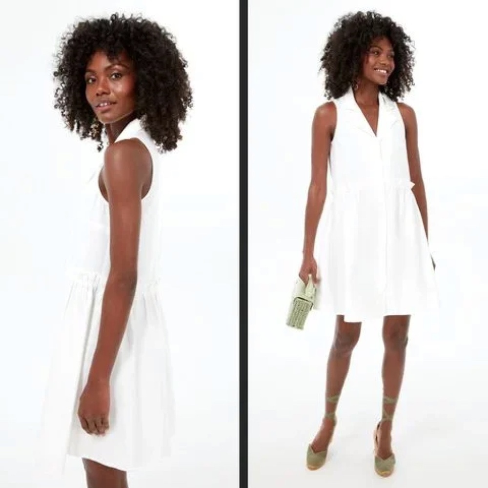 Tuckernuck Oxford Royal Shirt Dress